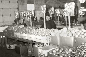 Farmers Market Vendors Fruit