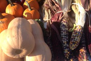 Best Fall Finds at Local NJ Flea Markets